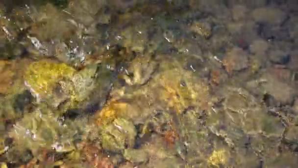 Sfondo per rilassarsi camera sonora ambiente. Ondulazione del torrente di montagna. Concetto di natura con rilassante suono del flusso d'acqua — Video Stock