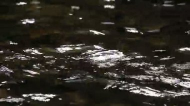 Dağ nehri akıntısı dalgası. Çevredeki ses odasını rahatlatmak için arka plan. Su akışının rahatlatıcı sesine sahip doğa konsepti