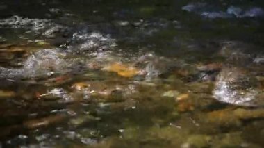 Dağ nehri akıntısı dalgası. Çevredeki ses odasını rahatlatmak için arka plan. Su akışının rahatlatıcı sesine sahip doğa konsepti