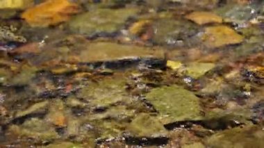 Dağ nehri akıntısı dalgası. Çevredeki ses odasını rahatlatmak için arka plan. Su akışının rahatlatıcı sesine sahip doğa konsepti