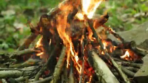 Hoguera Quema Una Llama Roja Brillante Bosque — Vídeos de Stock