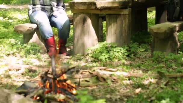 Due Donne Fare Picnic Nel Bosco Vicino Fuoco — Video Stock