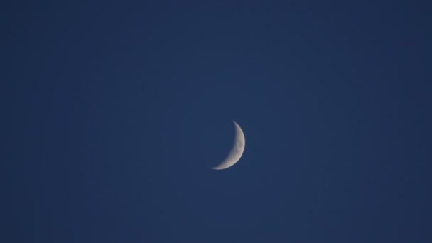 Ελλιπής Φεγγάρι Στο Μπλε Του Ουρανού Μετά Ηλιοβασίλεμα — Αρχείο Βίντεο