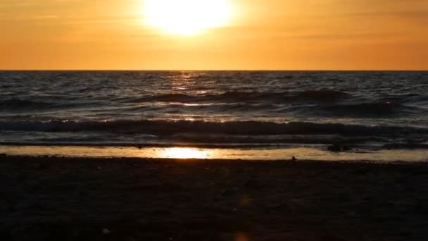 Bright Orange Sunset Baltic Sea — Stock Video