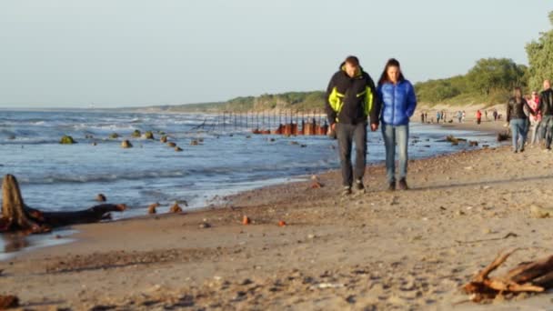 Zelenogradsk Kaliningrad Russia 05262018 People Walking Beach Baltic Sea Sunset — Stock Video