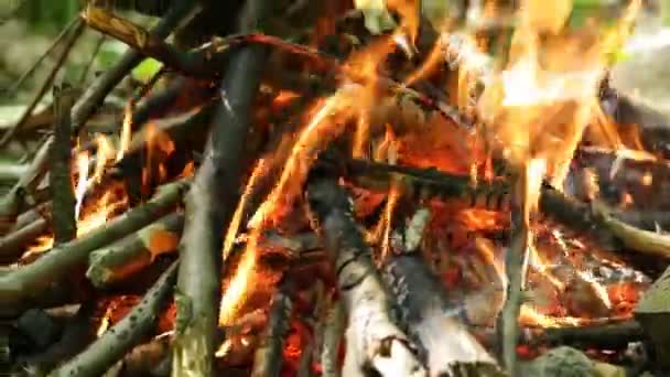 Feu de joie brûlant dans la forêt, début de l'été 