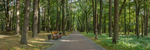 Beautiful Panoramic View Public City Park Wooden Bench Edge Neat — Stock Photo, Image