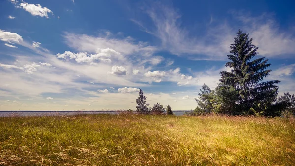 Een Schilderachtige Landschap Zomer Landschap Prachtig Uitzicht Met Een Spar — Stockfoto