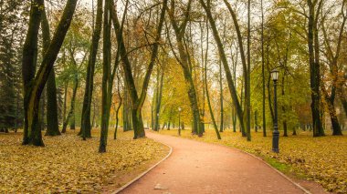 Sonbahar Şehir Parkı sabah. ıssız patika