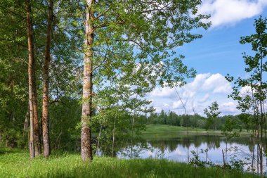 güzel yaz manzara. Yeşil sahilden göle ve mavi bulutlu gökyüzü altında kıyı ağaçların arasından karşı kıyıda görüntülemek