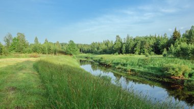 yaz manzara. Bir nehir dağlık ormanlık kıyı şeridi ile bir çayırlarda ormana doğru akar..