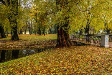 Eski kalın ağaçlar ve dar bir Nehri'nin güzel sonbahar şehir kamu Parkı üzerinde düşmüş yapraklar
