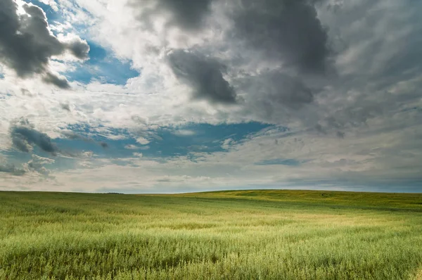 风景如画的农业景观 在戏剧性的天空中 阳光透过云层照亮了燕麦场 — 图库照片