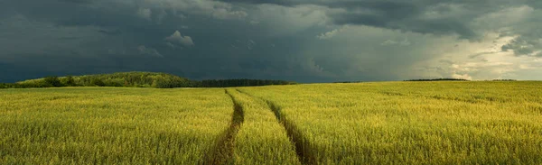 美丽的夏日农业景观 风暴前黑暗戏剧性的天空下的燕麦场全景视野与技术轨道 — 图库照片