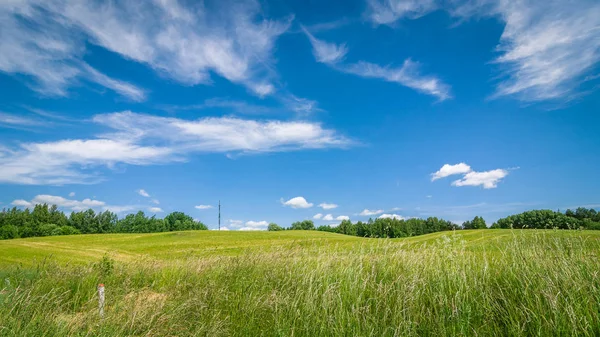 夏季农业景观 美丽多云的天空下的丘陵地带 — 图库照片