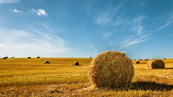 夏季农业景观 在一个美丽的蓝天下收获后丘陵田野上的圆包金稻草 — 图库照片