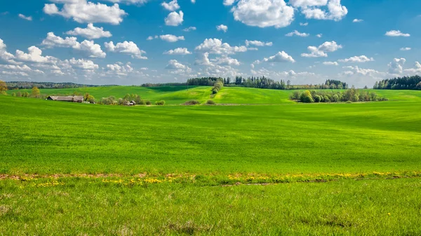 美丽的夏季乡村景观 一片农业丘陵地带 在蔚蓝多云的天空下覆盖着绿草 哈姆雷特 — 图库照片