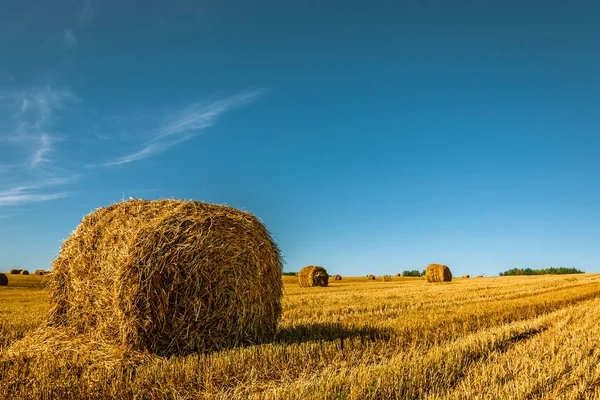 美丽的夏季农业景观 在晴朗的蓝天背景下收获后 在田野上的前景中留下了圆形的金色秸秆包 — 图库照片
