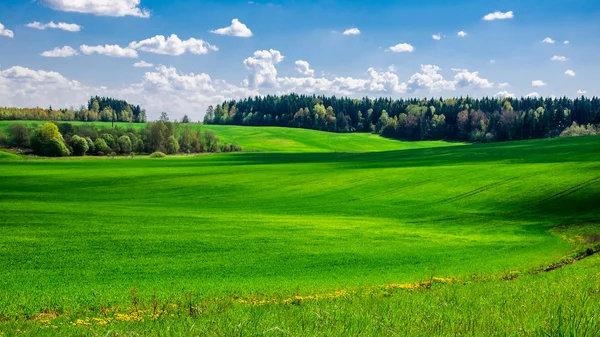 美丽的夏日田园风光 在蓝多云的天空下 覆盖着青草的农业丘陵田野 — 图库照片