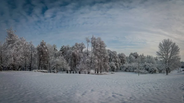 Gyönyörű Téli Táj Nyilvános Hóval Borított Park Kék Felhős Alatt — Stock Fotó