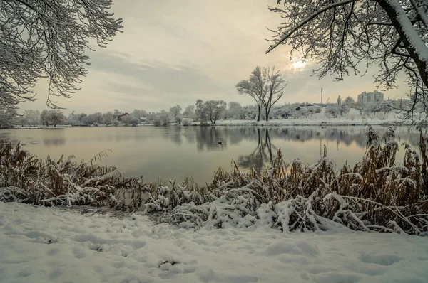 Aussichtsreiche Aussicht Von Der Schneebedeckten Ufer Des Flusses Winterlichen Stadtpark — Stockfoto
