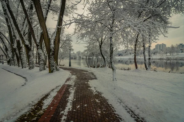 Ein Fußweg Einem Verschneiten Stadtpark Ufer Des Flusses Winterdämmerung — Stockfoto