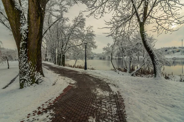 Betonfußweg Einem Verschneiten Stadtpark Ufer Des Flusses Winterdämmerung — Stockfoto