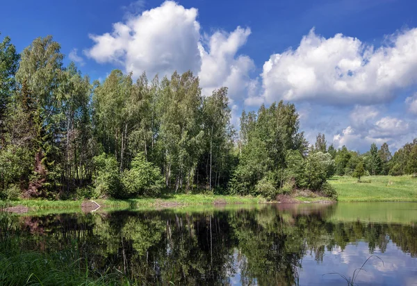 Mooie Zomerse Landschap Schilderachtige Kust Van Het Meer Met Gras — Stockfoto