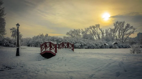 Romantische Winterlandschaft Ein Malerischer Abendlicher Stadtpark Der Bei Bewölktem Wetter — Stockfoto