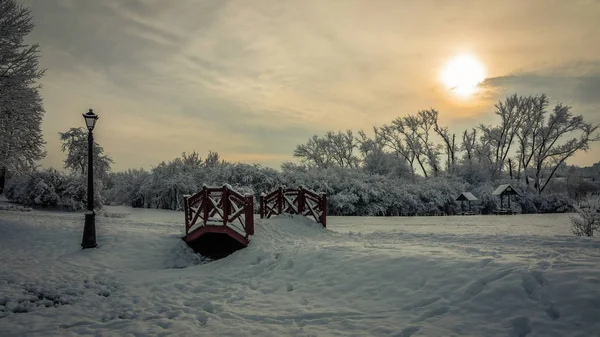 Vackra Romantiska Vinterlandskapet Natursköna Kväll Stadsparken Upplyst Svag Solljuset Liten — Stockfoto