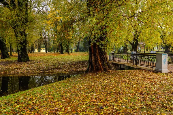 old thick trees and fallen foliage on the banks of a narrow river in the picturesque autumn city public park