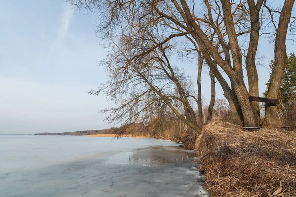 Piękny Krajobraz Zima Wiosna Malownicze Wybrzeże Zamarzniętego Jeziora Drzew Krzewów — Zdjęcie stockowe