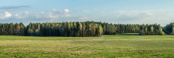 Paisaje Primavera Hermosa Vista Panorámica Través Campo Con Hierba Joven — Foto de Stock