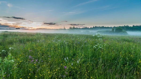 Mystieke Avond Mistige Landschap Mist Die Laag Kruipen Een Weiland — Stockfoto