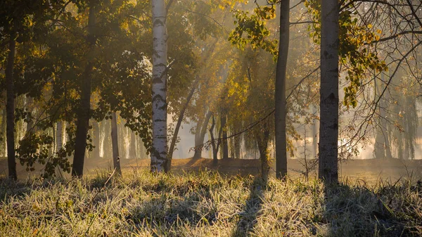 Otoño Mañana Paisaje Los Rayos Del Sol Hacen Camino Través — Foto de Stock