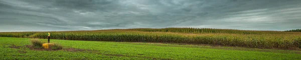 艺术秋季农业景观。在暴风雨天气下多云的9月天空下，丘陵玉米田的全景 — 图库照片