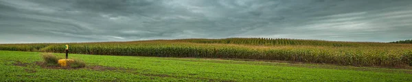 Paisaje agrícola artístico otoñal. amplia vista panorámica de un campo de maíz montañoso bajo un cielo de septiembre dramático nublado en clima tormentoso Imagen de archivo