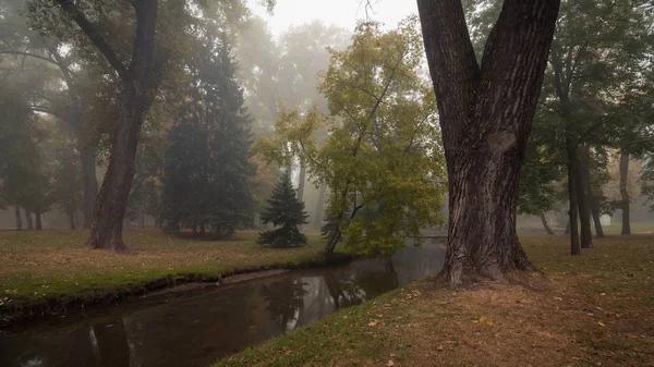 Prachtig schoon herfst stadspark met bomen langs een smalle Beek en een lichte ochtend mist op de achtergrond — Stockfoto