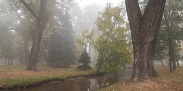 Herfst stadspark met bomen langs een smalle beek en een lichte ochtendmist op de achtergrond — Stockfoto