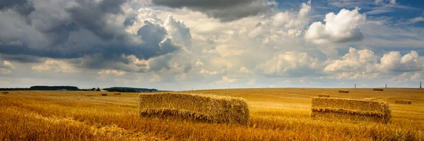 Ein Weites Landwirtschaftliches Feld Mit Goldenen Stoppeln Und Kubischen Strohballen — Stockfoto