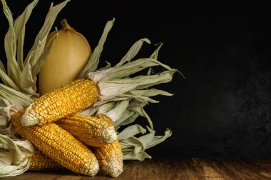 Ahşap bir yüzeye ahşap bir zemin üzerinde yaprak ile kaplı kabuklu mısır koçanları siyah beton alçıdan bir arka plana karşı. Ön taraf manzarası. Sonbahar kavramsal karanlık fotokopi alanı ile kırsal tarzda yaşam