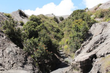 Mount Bromo, Mount Bromo Bromo Tengger Semeru Milli Parkı'nda, Doğu Java, Endonezya krater kayalarda