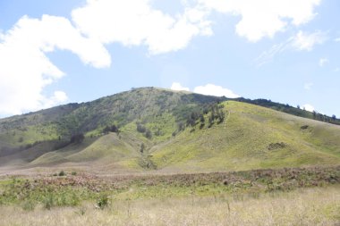 Savana tepeler ve dağlar, Bromo Tengger Semeru Milli Parkı'nda, Doğu Java, Endonezya bir fon ile