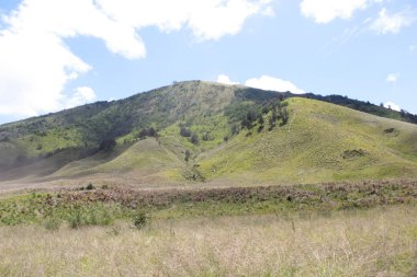 Savana tepeler ve dağlar, Bromo Tengger Semeru Milli Parkı'nda, Doğu Java, Endonezya bir fon ile