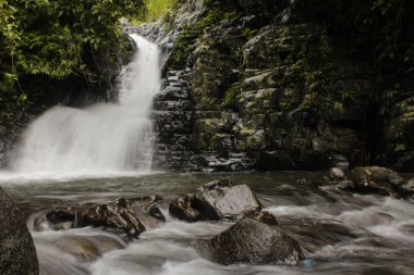 Şelale panorama tropikal orman Jepara şehir, Orta Java eyaletinde, Endonezya
