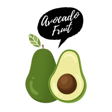 Avokado meyve vektör çizim. Vektör taze meyve avokado. Yaprak ve tohum yarısıyla bütün avokado