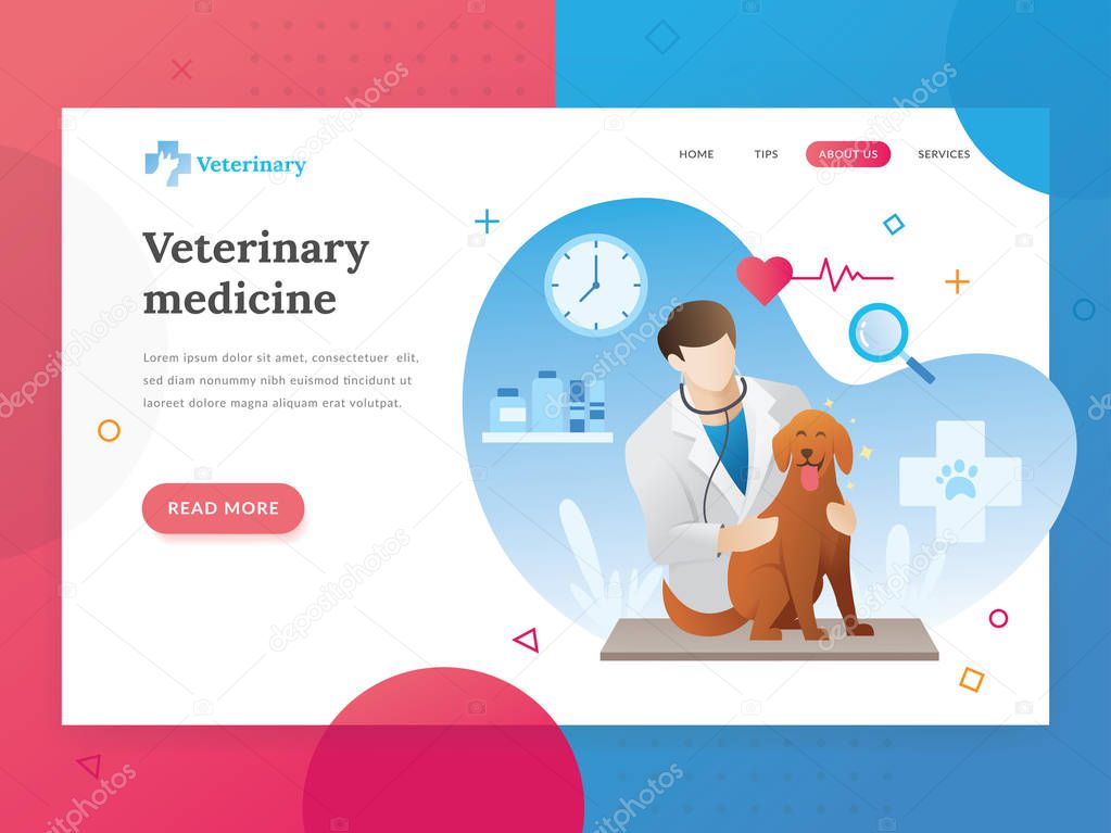 Landing page template of Veterinary. Modern flat design concept of web page design for veterinarian website. Vector illustration of A vet checks a pet. A veterinarian with a pet. Vector character