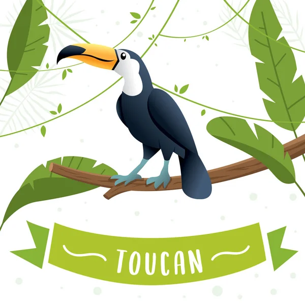 Toucan Bird cartoon karakter — Stockvector