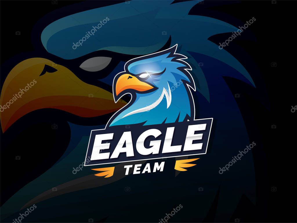Hawk head mascot vector logo. Eagle esport gaming logo design, Eagles team sport badge design