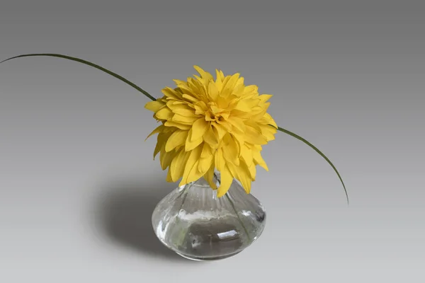 Still life composition of glass vase and yellow Heliopsis flower